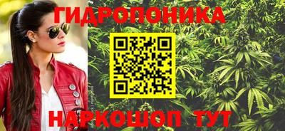 шишки Берёзовский