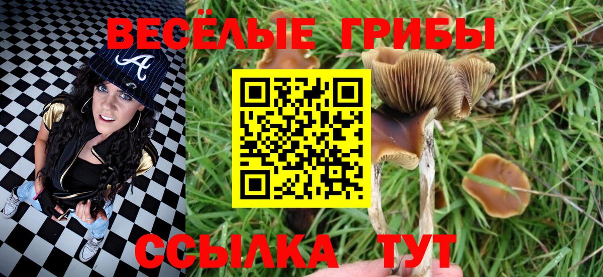 Псилоцибиновые грибы Psilocybe  Псилоцибиновые грибы Psilocybe  как найти закладки  Иваново  Вход с VPN 