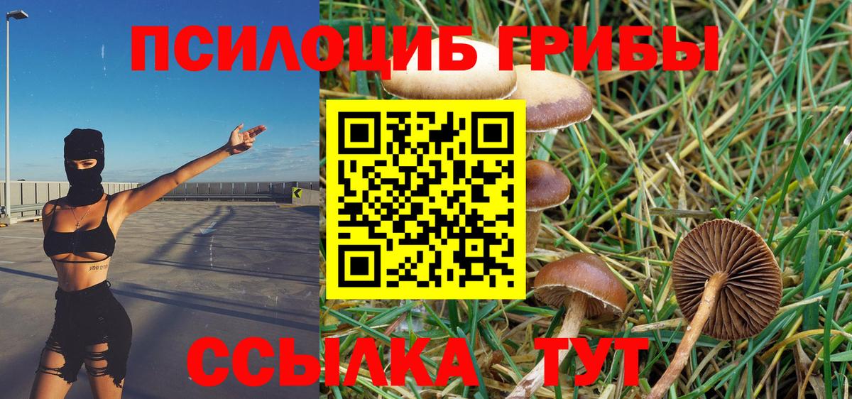 Псилоцибиновые грибы прущие грибы Иваново